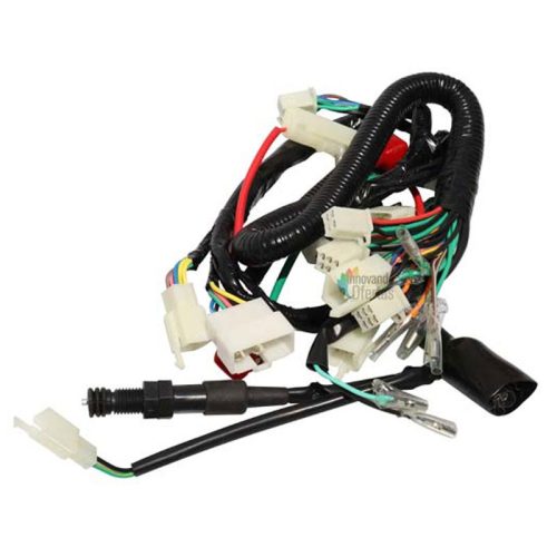 Arn?s Principal Italika FT125