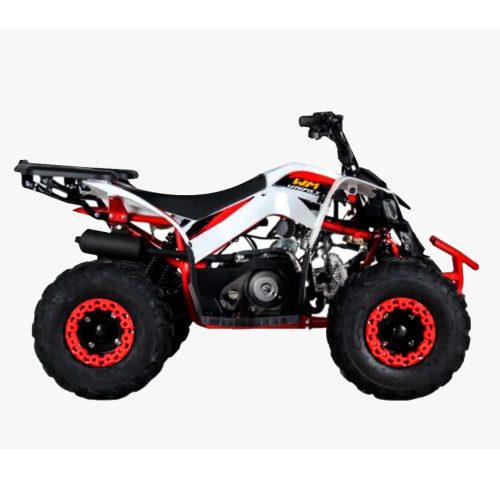 Cuatrimoto MH110 cc