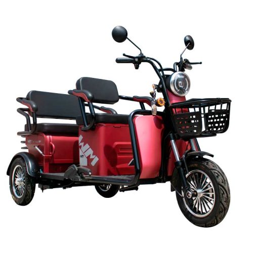 Triciclo Eléctrico WM