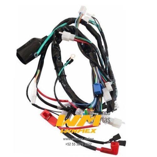 ARNES PRINCIPAL 125Z