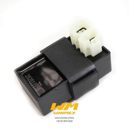 UNIDAD CDI VORT X 200