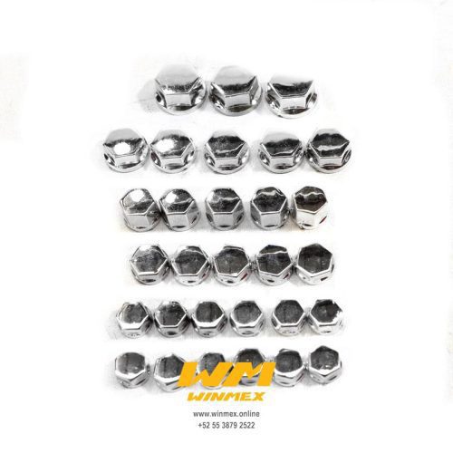 TAPON DE TORNILLERIA DE LUJO JGO. 28PZS. PLATA