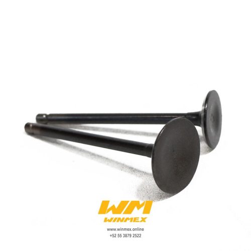 VALVULAS DE MOTOR FZ16