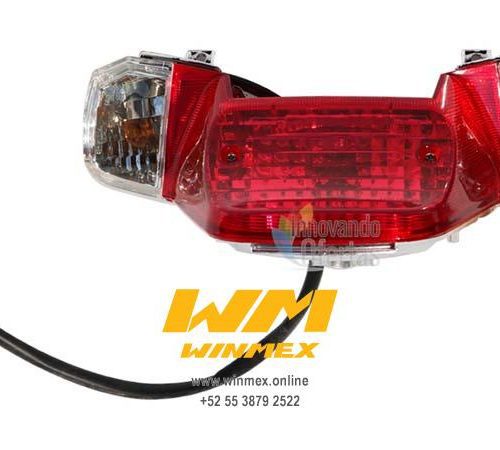 CALAVERA TRASERA WS150