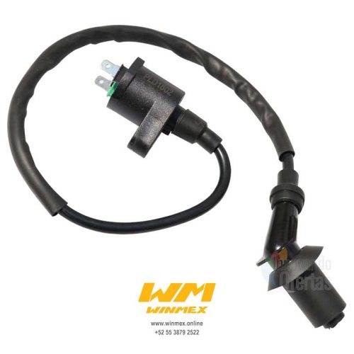 BOBINA DE IGNICION CS125,DS125,DS150,WS150,GS150,XS150,XS125,