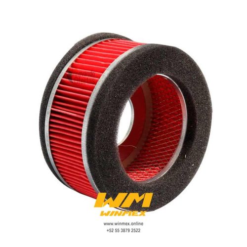 FILTRO DE AIRE DS125,DS150,GS150 (09),XS150,