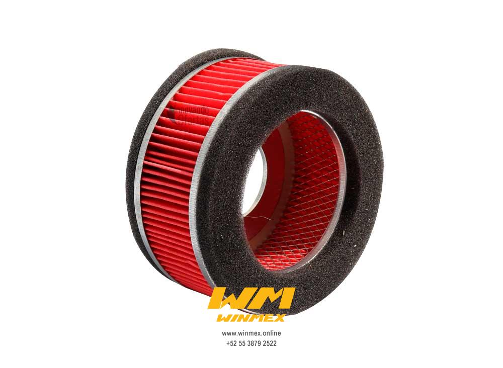 FILTRO DE AIRE DS125,DS150,GS150 (09),XS150,
