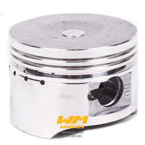 PISTON Y ANILLOS STD AT110