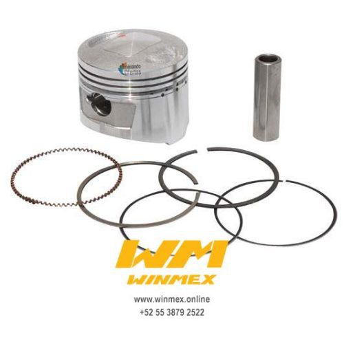 PISTON Y ANILLOS STD RT200