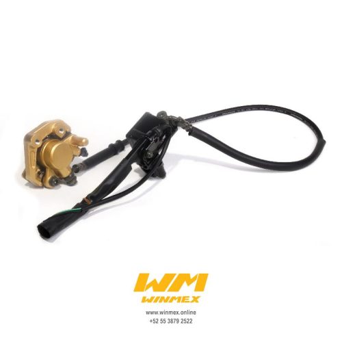 SISTEMA DE FRENO DELANTERO COMPLETO WS150
