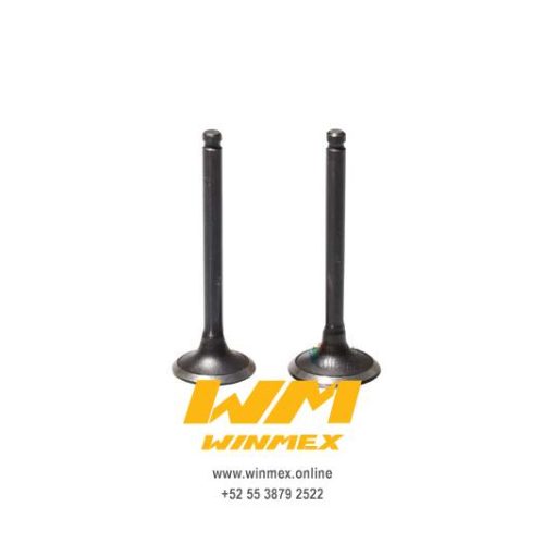 VALVULAS DE MOTOR CS125,DS125,