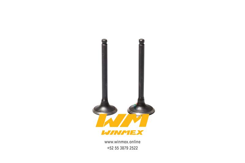 VALVULAS DE MOTOR CS125,DS125,