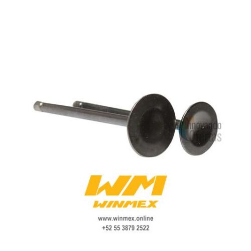 VALVULAS DE MOTOR DM200