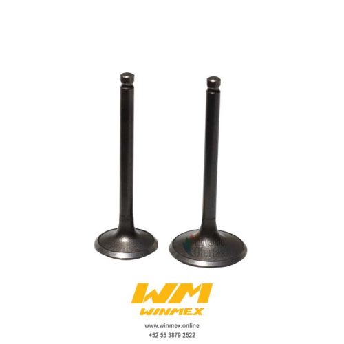 VALVULAS DE MOTOR DS150,WS150,