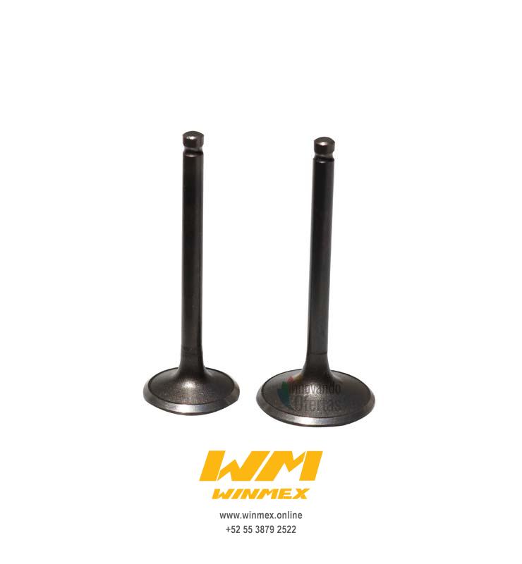 VALVULAS DE MOTOR DS150,WS150,