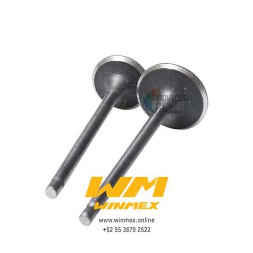 VALVULAS DE MOTOR FT150 RT200