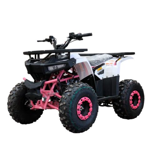Cuatrimoto MH125 Lujo