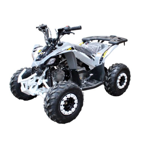 Cuatrimoto MH110 cc