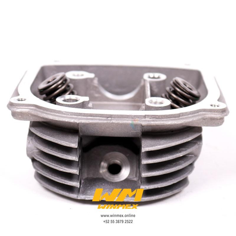 CABEZA COMPLETA DS150,WS150,